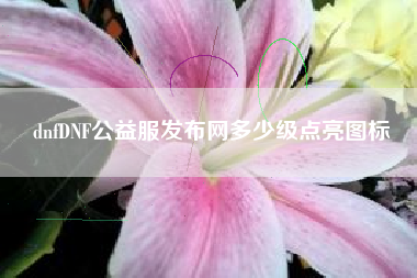 dnfDNF公益服发布网多少级点亮图标