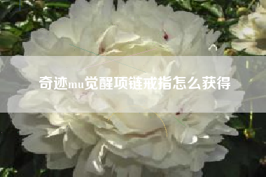 奇迹mu觉醒项链戒指怎么获得
