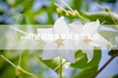 mu奇迹觉醒血色城堡怎么玩