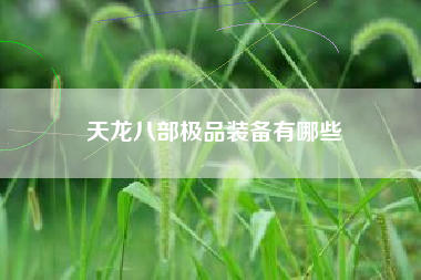 天龙八部极品装备有哪些