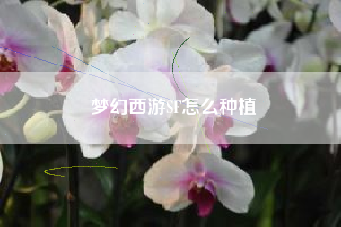 梦幻西游SF怎么种植