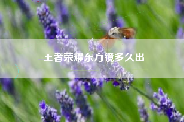 王者荣耀东方镜多久出
