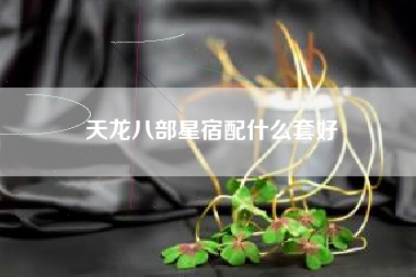 天龙八部星宿配什么套好