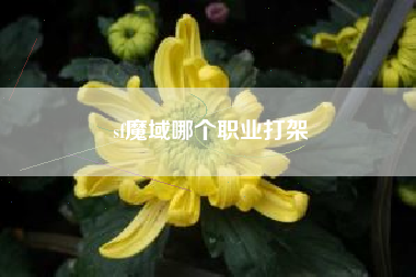 sf魔域哪个职业打架