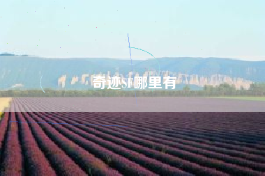 奇迹SF哪里有