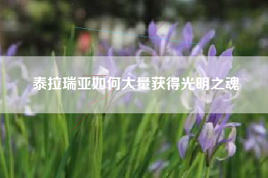 泰拉瑞亚如何大量获得光明之魂