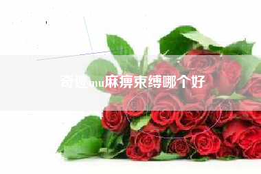奇迹mu麻痹束缚哪个好
