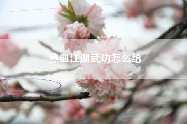 热血江湖武功怎么给
