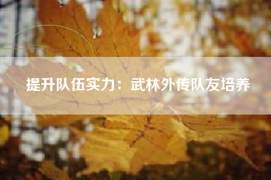提升队伍实力：武林外传队友培养