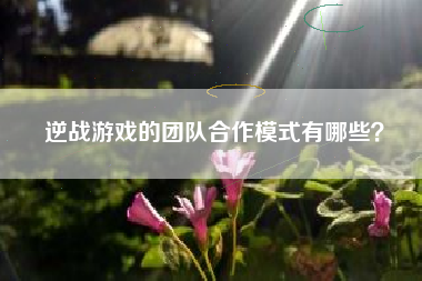 逆战游戏的团队合作模式有哪些？