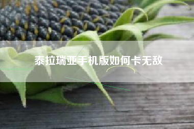 泰拉瑞亚手机版如何卡无敌