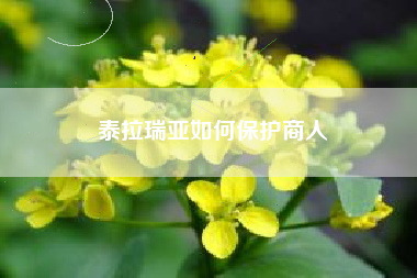 泰拉瑞亚如何保护商人