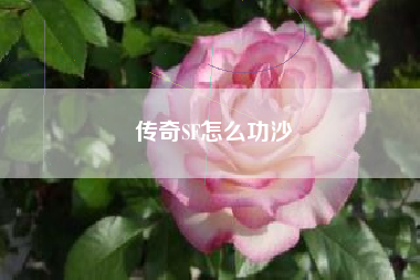 传奇SF怎么功沙