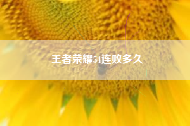 王者荣耀54连败多久