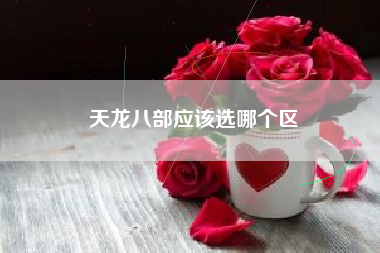 天龙八部应该选哪个区