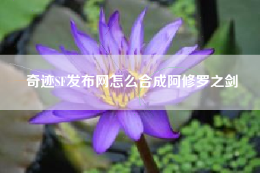 奇迹SF发布网怎么合成阿修罗之剑