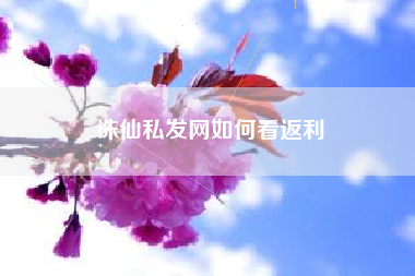 诛仙私发网如何看返利