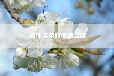 诛仙手游职业怎么改