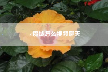sf魔域怎么视频聊天
