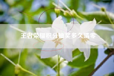 王者荣耀积分抽奖多久清零