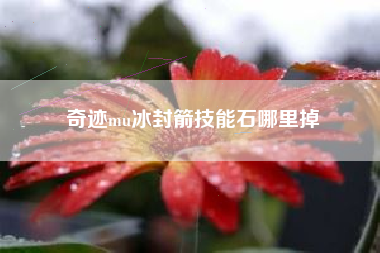 奇迹mu冰封箭技能石哪里掉