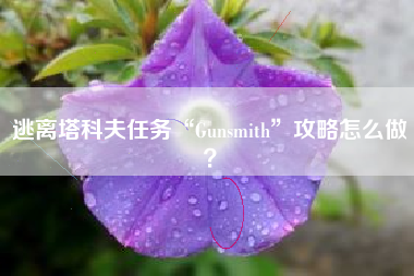 逃离塔科夫任务“Gunsmith”攻略怎么做？