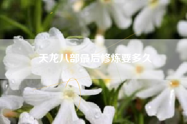 天龙八部最后修炼要多久