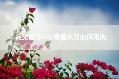 完美国际FS字母雷火咒如何用的