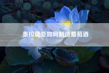 泰拉瑞亚如何制造葡萄酒