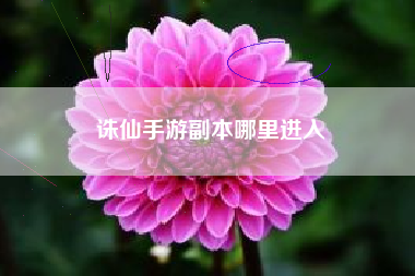 诛仙手游副本哪里进入