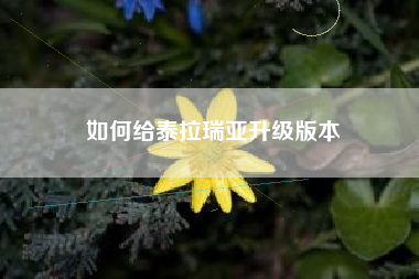 如何给泰拉瑞亚升级版本