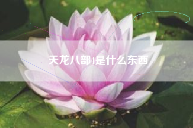 天龙八部4是什么东西