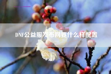 DNF公益服发布网要什么样配置