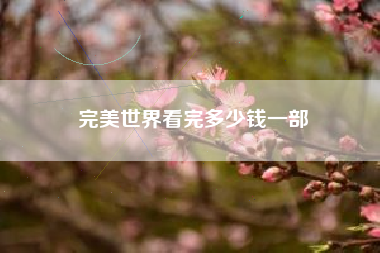 完美世界看完多少钱一部