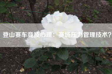 登山赛车竞技心理：赛场压力管理技术？