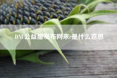 DNF公益服发布网来c是什么意思