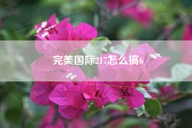 完美国际217怎么搞6