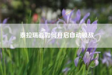 泰拉瑞亚如何开启自动锁敌