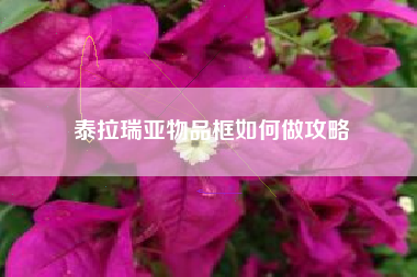泰拉瑞亚物品框如何做攻略