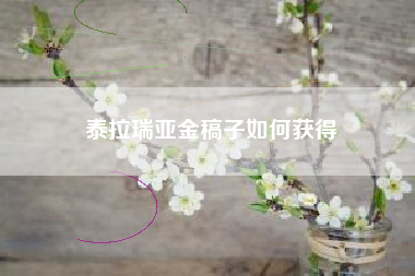 泰拉瑞亚金稿子如何获得