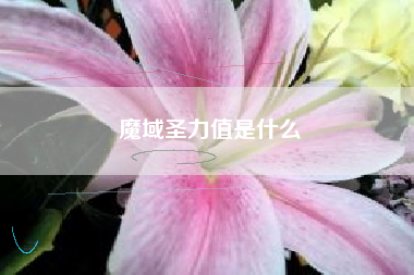 魔域圣力值是什么