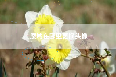 魔域在哪里更换头像
