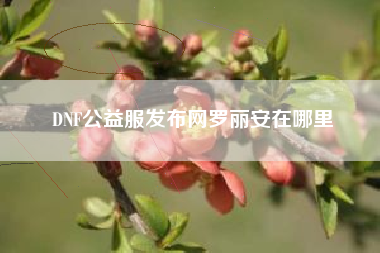 DNF公益服发布网罗丽安在哪里