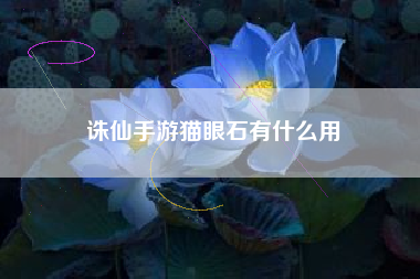 诛仙手游猫眼石有什么用