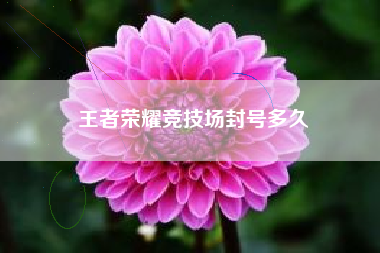王者荣耀竞技场封号多久