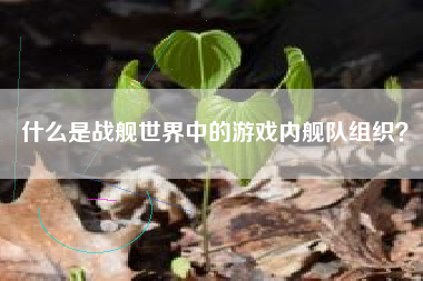 什么是战舰世界中的游戏内舰队组织？