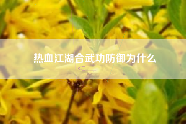 热血江湖合武功防御为什么