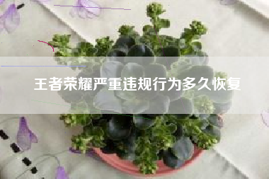 王者荣耀严重违规行为多久恢复