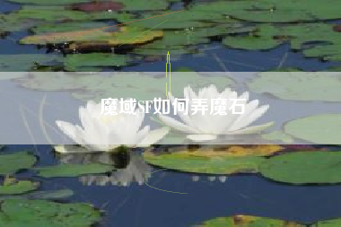 魔域SF如何弄魔石