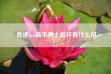 奇迹mu新手勇士指环有什么用